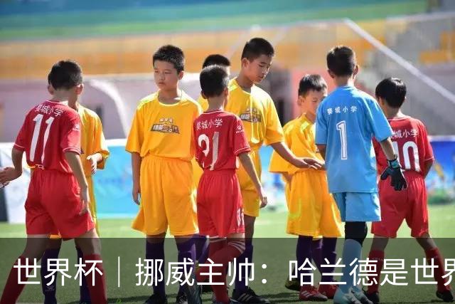 世界杯｜挪威主帅：哈兰德是世界上最好的射手